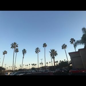 Meet your Posher, Alvin